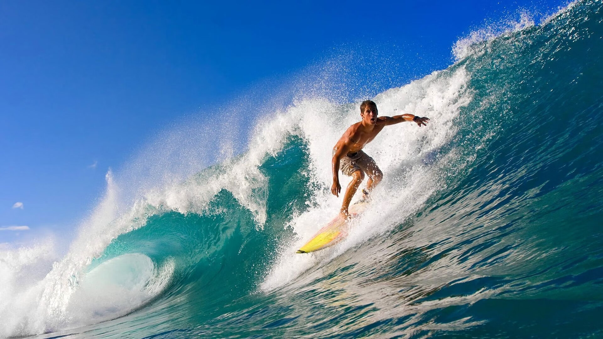 米兰体育官网-哈兰德的得分数据为俱乐部商业推广提供强有力支撑，哈兰德在那个俱乐部